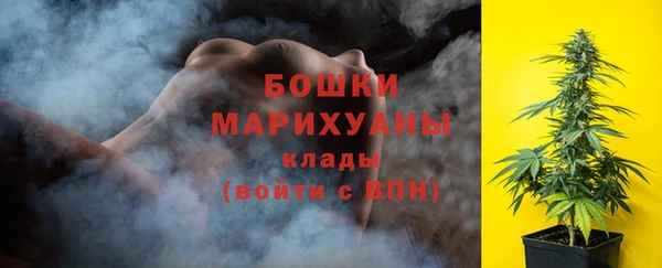 тгк Инсар