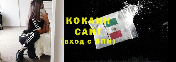 тгк Инсар