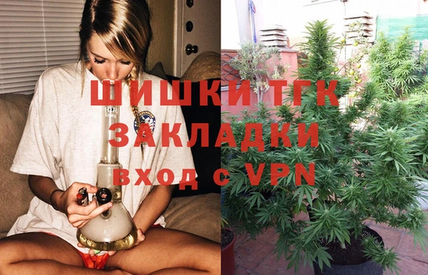 твердый Иннополис