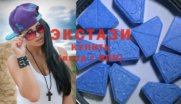 тгк Инсар