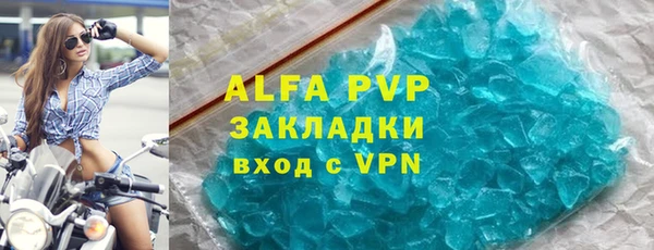 тгк Инсар