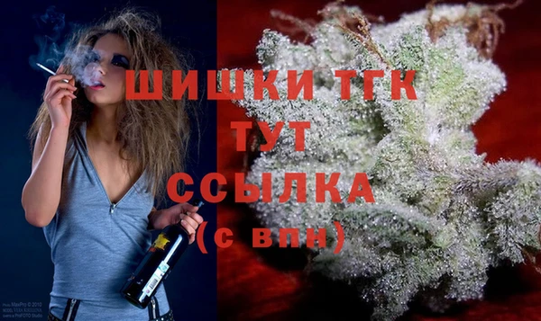 твердый Иннополис